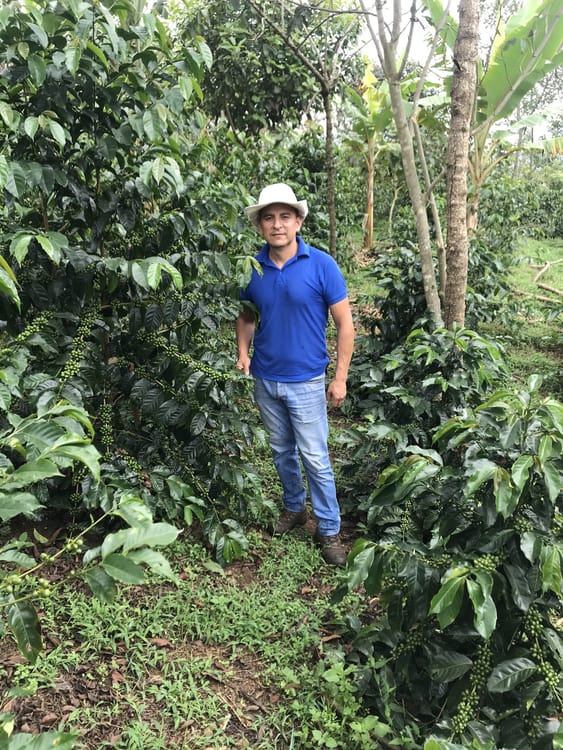 Catucai